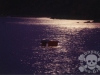 rowboat_in_moonlight