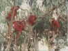1988-Nature-Staff